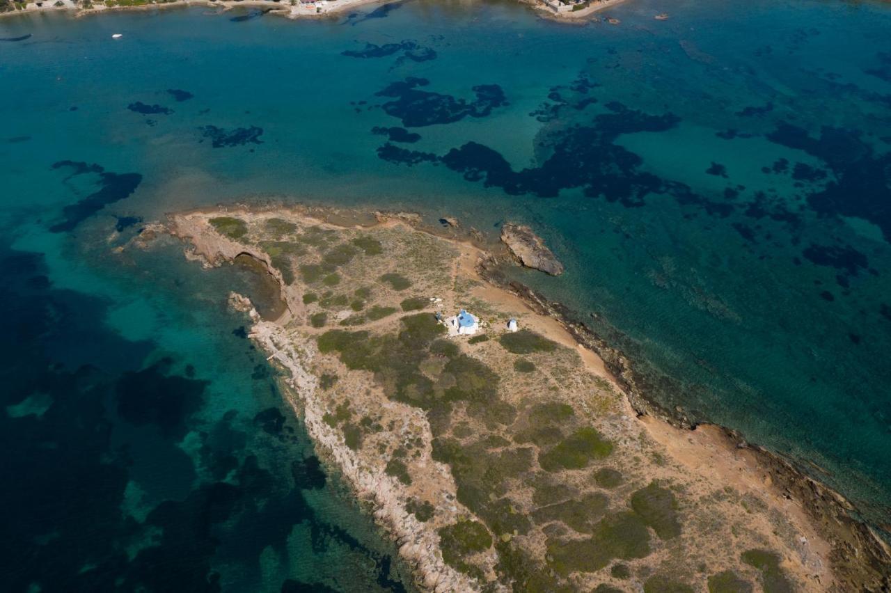 Modular Bungalows With Heated Pool Artemis Greece Exteriör bild